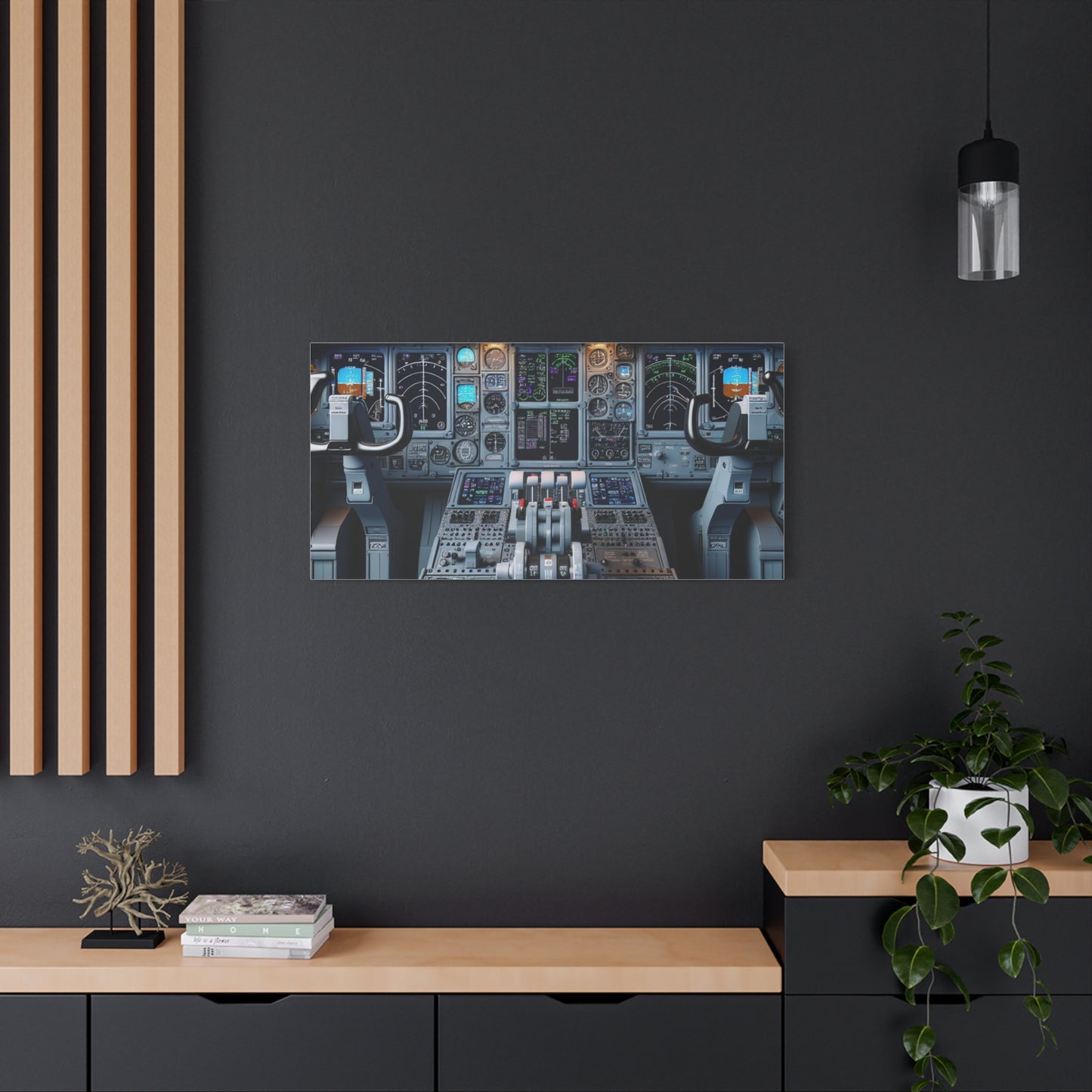 airplane controls canvas