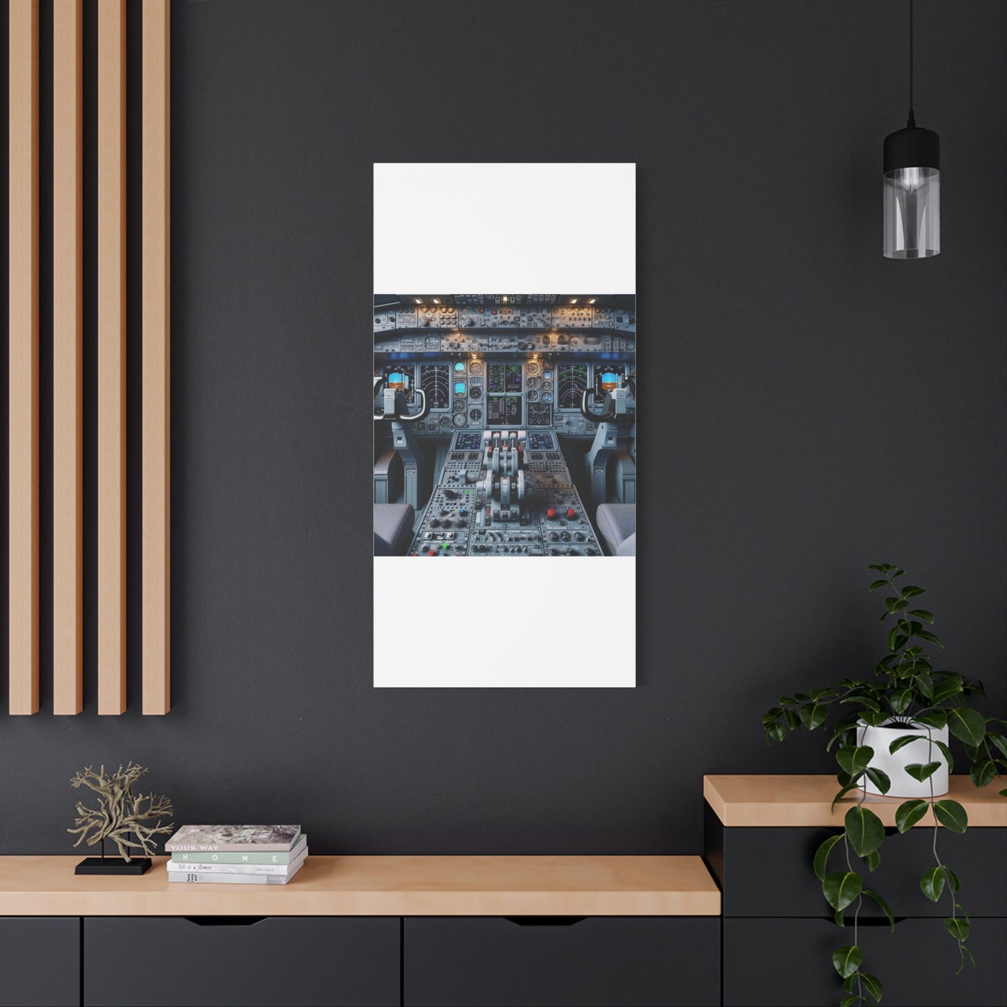 airplane controls canvas