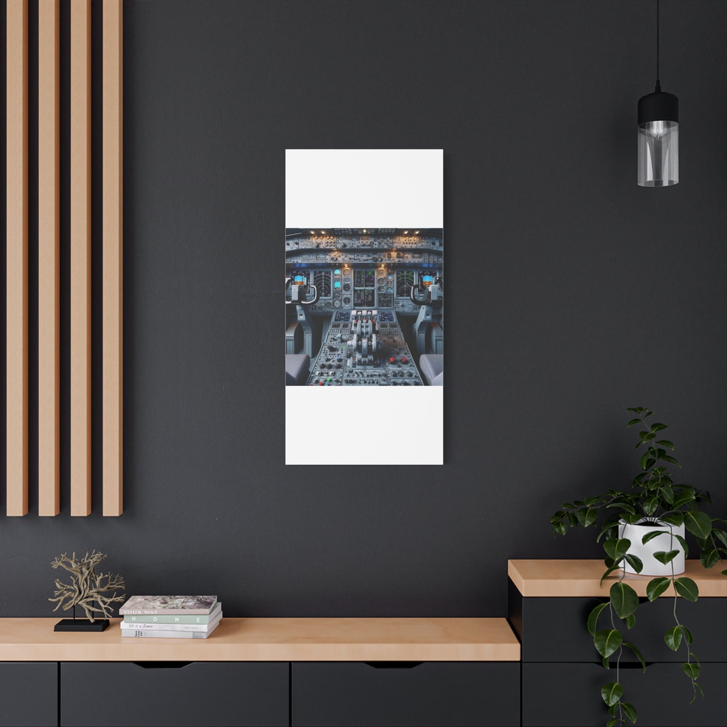 airplane controls canvas