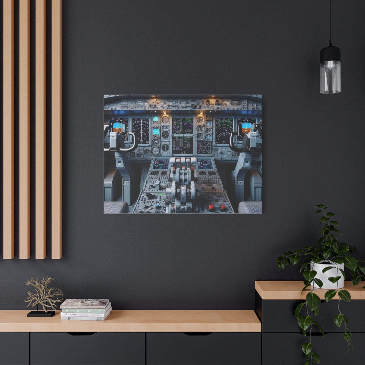 airplane controls canvas