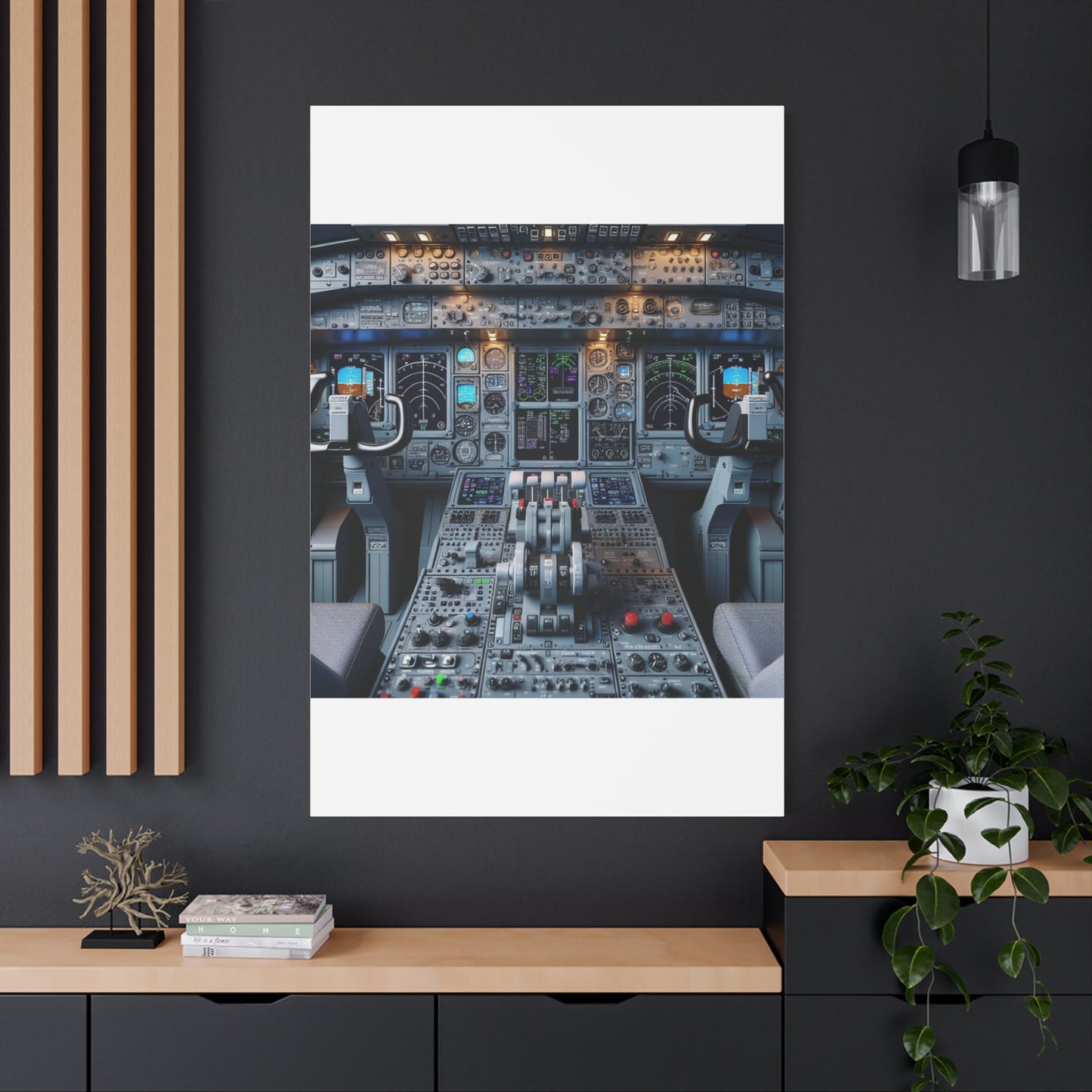 airplane controls canvas