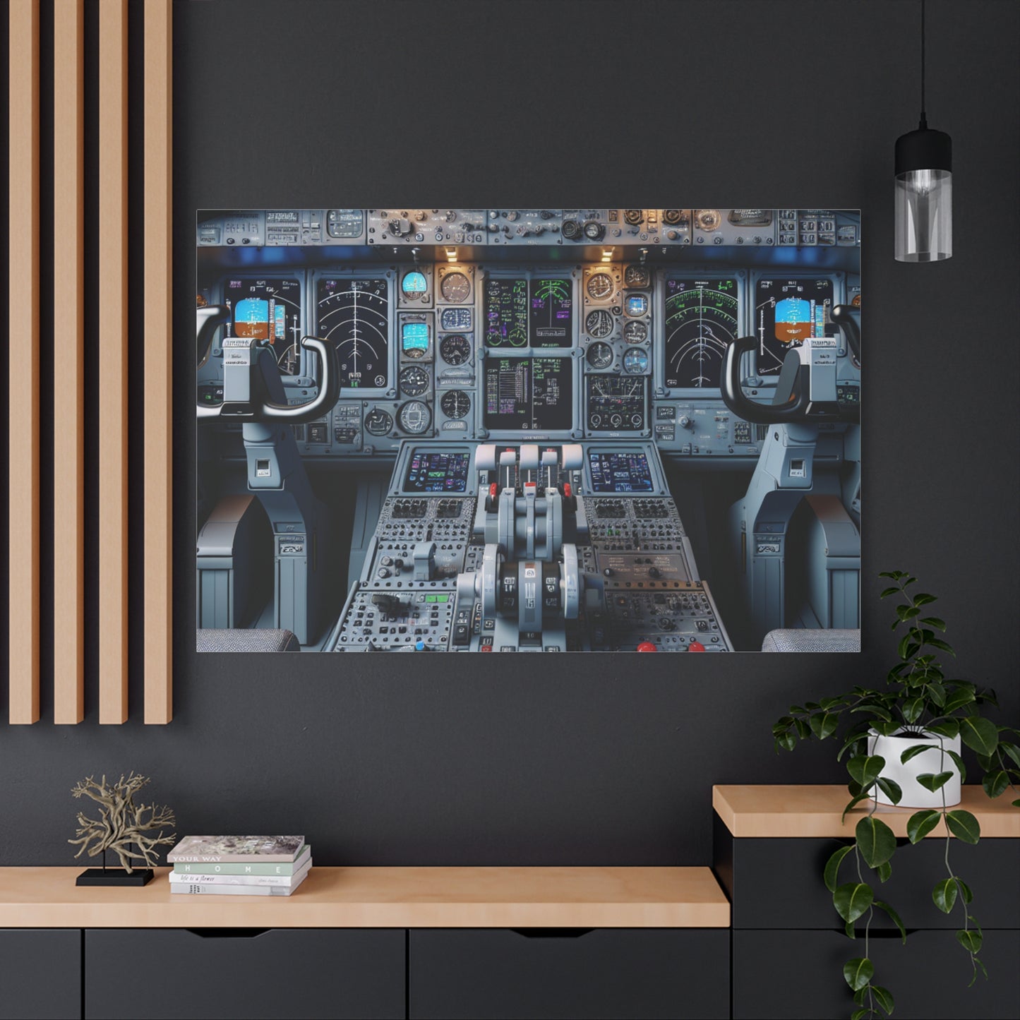 airplane controls canvas