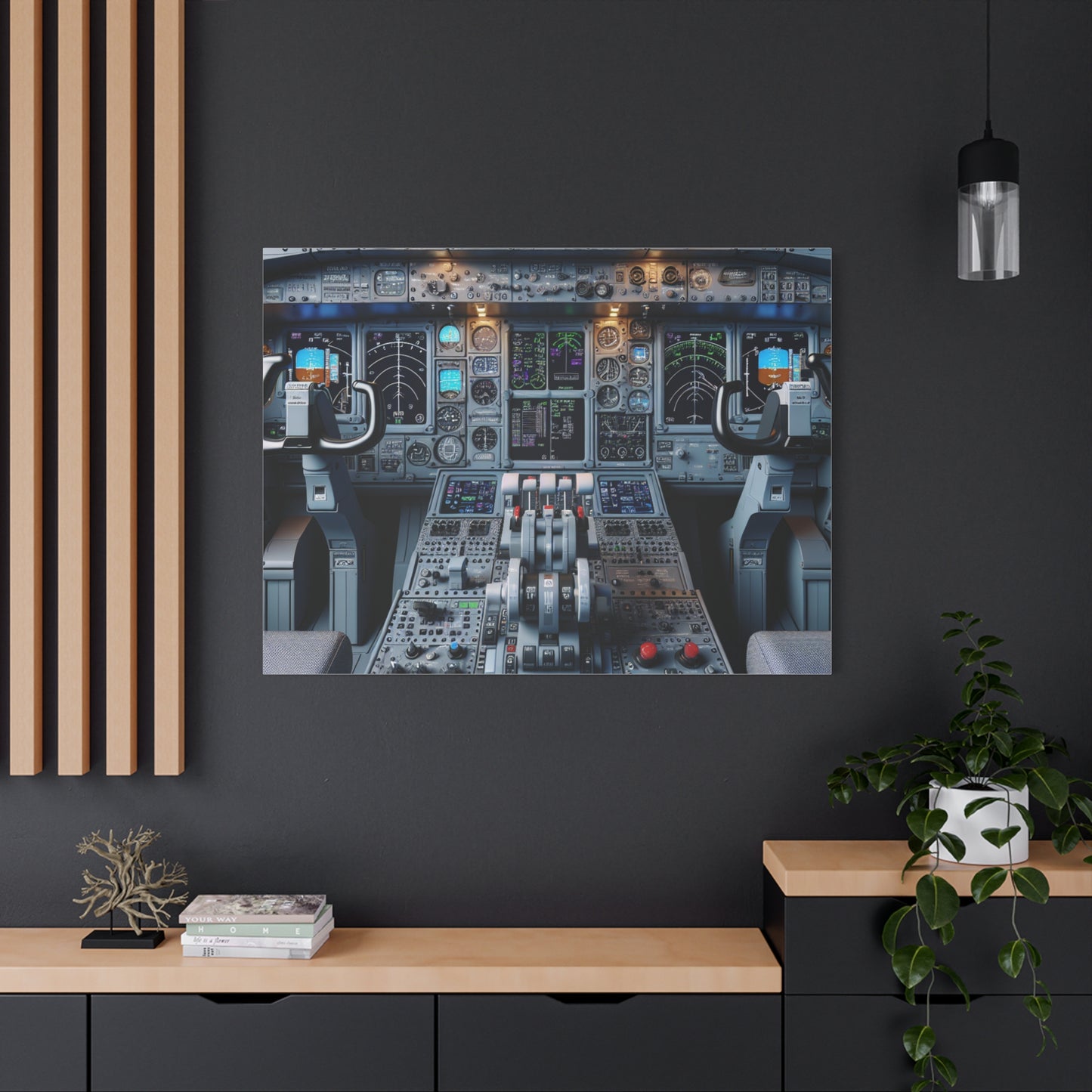 airplane controls canvas