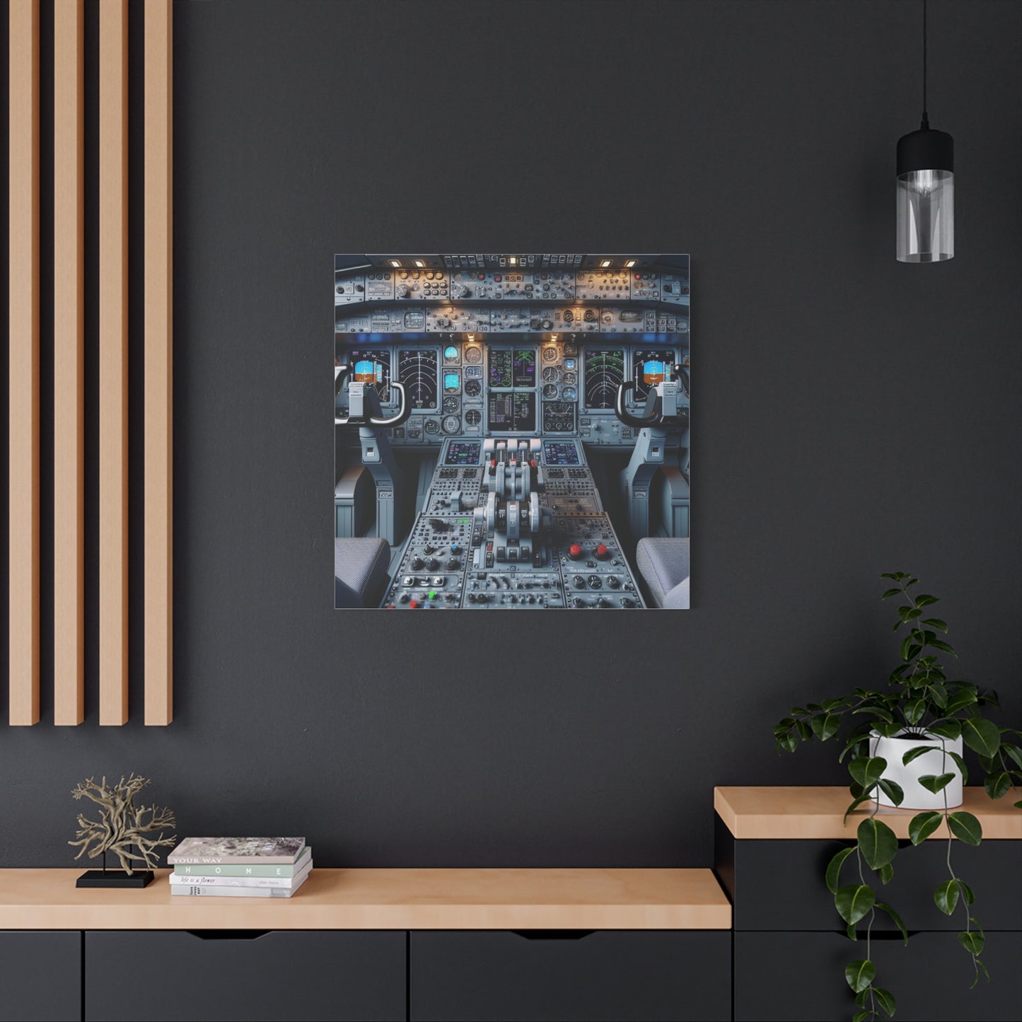 airplane controls canvas